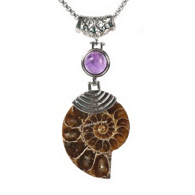 Collar de Reiki curativo amatista colgante fósil de amonita natural 22 pulgadas Foto 1 de 4