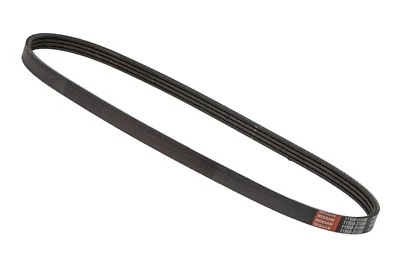 Cinturón de transmisión de dirección asistida Nissan Murano Máxima 1995-2007 OEM NUEVO 11950-31U00 Foto 1 de 4