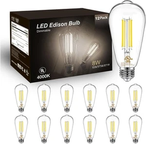 DAYBETTER 12 Pack Vintage LED Edison Bulbs, E26 Led 12 Pack, Neutral White  - Picture 1 of 7