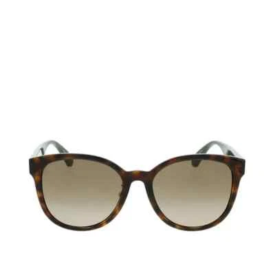 Nuevo GUCCI GG0854SK 003 Habana/Marco de Plástico Verde Marrón Lente Degradada Gafas de Sol Foto 1 de 2