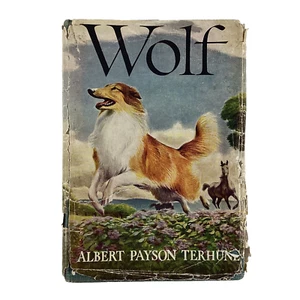 Wolf by Albert Payson Terhune Grosset & Dunlap 1925 HC DJ Good - Picture 1 of 11