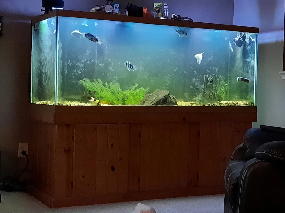 210 Gallon fishtank With 30 Gallon  Sump And Stand. This tank is reef ready. - Image 1 of 1