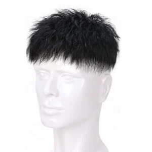 Short Natural Curly Topper Human Hair Clip in  Hair Pieces Toupee For Men - Picture 1 of 10
