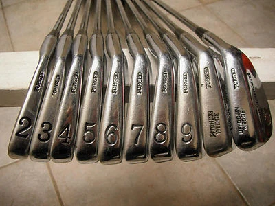 Hierros de golf Palmer The Standard 85 2-P, G. DynGold S300 rígido. Vintage Foto 1 de 4