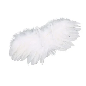 2Pcs Ball Joint Doll Feather Wings Decoration For 1/3 1/4 1/6 Dolls DIY Part ▷ - Picture 1 of 24
