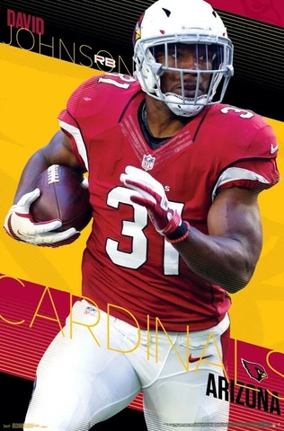 DAVID JOHNSON - ARIZONA CARDINALS POSTER - 22x34 NFL FOOTBALL 16004 Cover