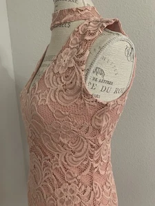 Ambiance Kleid Spitze Stretch Spitze gefüttert Gr. Medium Dusty Rose Rosa - Bild 1 von 10
