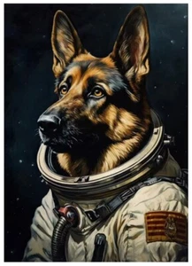 Dog Canvas Wall Art BORN TO BE WILD #3 16 x 24 242 - Picture 1 of 4