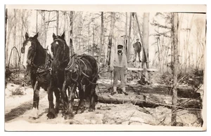 Holzfäller Holzfäller mit Pferdegespann, unbekannt, Echtfoto Postkarte, RPPC - Bild 1 von 3