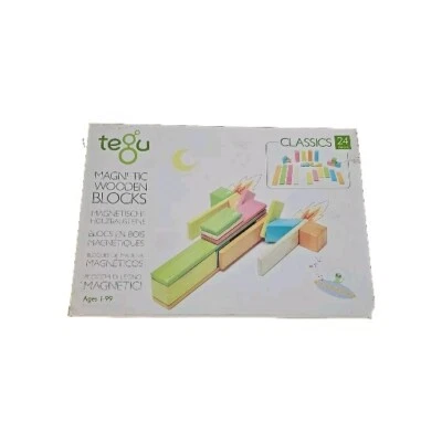 Tegu Juego de 24 Piezas Clásico Magnético Bloque de Madera Juguete de Construcción Tintes NUEVO Foto 1 de 3