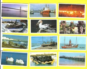 12 TARJETAS DESCUBRIENDO NUESTRA COSTA #s 7 8 9 10 16 17 18 19 20 21 22 23 24 25 - Imagen 1 de 1