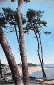 85 LA TRANCHE SUR MER LA GRIERE PLAGE - Picture 1 of 2
