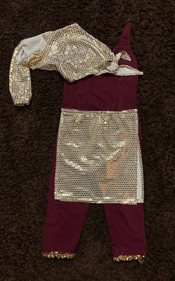 Custom Womens Size Large Arabian Dance Or Halloween Costume - Image 1 of 4