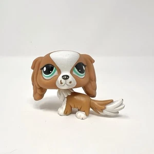 LPS #1825 LITTLEST PETSHOP ORIGINAL AUTHENTIQUE CHIEN DOG CAVAL KING CHARLES - Bild 1 von 7