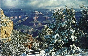 South Rim Snow Postcard ICS-31493 Unposted - Picture 1 of 2