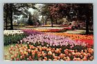 Mansfield OH-Ohio, Kingwood Center, Tulips, Vintage Postcard