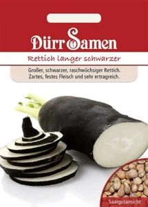 Rettich langer schwarzer ertragreich ca. 500 Samen 0152 - Bild 1 von 1