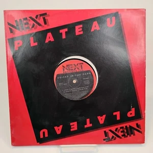 VTG Voices In The Dark ~ Keep It Warm ~ 12" Single 1987 Next Plateau #NP50056 - Picture 1 of 6