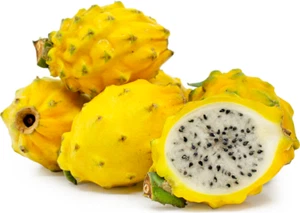 Yellow Dragonfruit Plant (Tube stock, Fruit, Edible) +FREEBIE - Picture 1 of 7