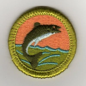 Distintivo merito pesca, tipo H, retro plastica trasparente (1972 - 2002), come nuovo! - Foto 1 di 1