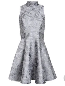 MISS SELFRIDGE Silver High Neck Jacquard Fit & Flare Skater Dress, Size 10 - Picture 1 of 11