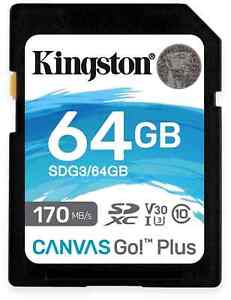 KINGSTON SD-Card Canvas GO!, 64 GB