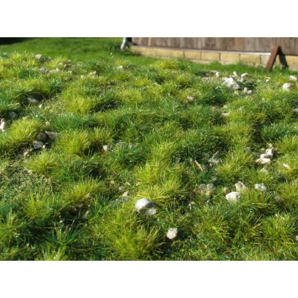 Grasmatte & Steine 18x28cm Sommer - Begrünung Modellbau & Diorama Landschaft - Bild 1 von 1