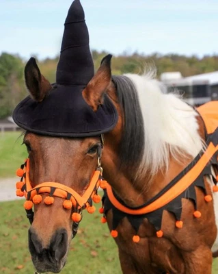 Halloween Costume Witch Horse Hat - (Hat Only( Full Size Horse - Image 1 of 2
