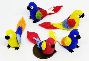 Casa de Muñecas Loros Mixtos Conjunto de 5 Pájaros Grandes Escala 1:12 Miniatura Tumdee - Imagen 1 de 6