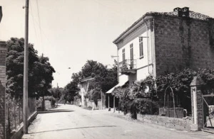 Alessandria - San Lorenzo di Vignale Monferrato - Via Principale - fg vg - Foto 1 di 1