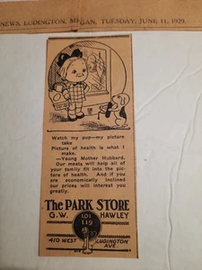 The Park Store G.W. Hawley Ad Clipping Ludington, MI 1929 - Picture 1 of 1