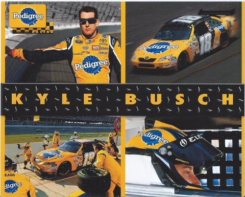 2009 KYLE BUSCH #18 PEDIGREE "SPRINT CUP SERIES" POSTCARD! Cover