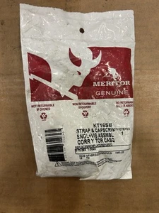 Meritor Service Kit Strap Bolt KT16SB - Bild 1 von 2