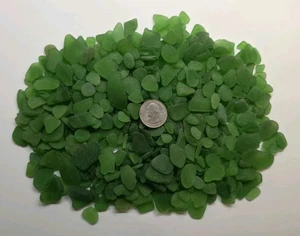 GENUINE SURF TUMBLED SEA GLASS FROM PUERTO RICO / 1.1+ LB GREEN #5 - Picture 1 of 2