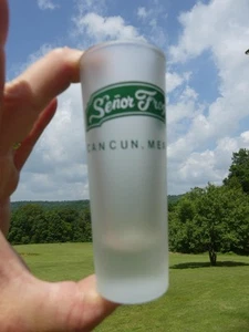 Vintage Shot Glass Tequila Senor Frog Cancun Mexico Frosted Glass - Picture 1 of 9