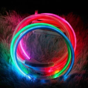 LED Hundehalsband USB wiederaufladbar für alle Größen Leuchthalsband - Bild 1 von 1