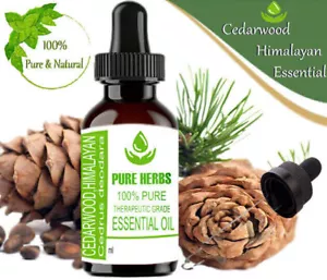 Pure Herbs Cedarwood Himalayan 100% Pure & Natural Cedrus Deodara Essential Oil - Picture 1 of 6