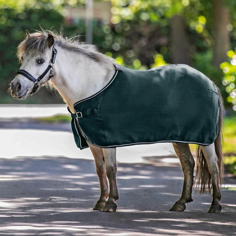 Waldhausen 125 cm Tannengrün Abschwitzdecke Economic Fleece - Bild 1 von 1