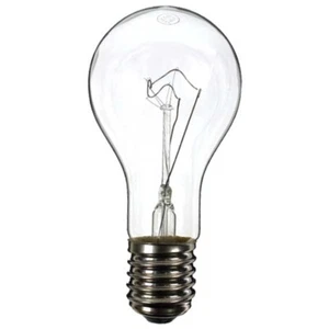 GLS Light Bulb 240V 300W E40 Clear - Picture 1 of 2