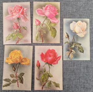 SET OF WINIFRED WALKER ROSES POSTCARDS X 5 - Picture 1 of 3