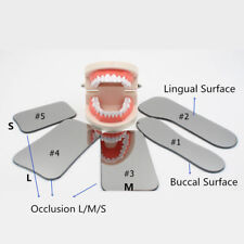 2 piezas Espejo fotográfico dental de ortodoncia Espejos intraorales Vidrio Reflector 2 lados