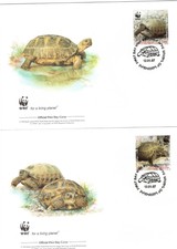 Armenia 2007 WWF Tartaruga di Horsfield Carey Turtle tortoiseshell Testudo 4 FDC