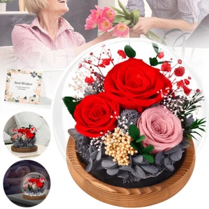 LED Ewige Rose im Glas für Frauen Geburtstag Valentinstag Geschenk Rose Geschenk - Bild 1 von 15