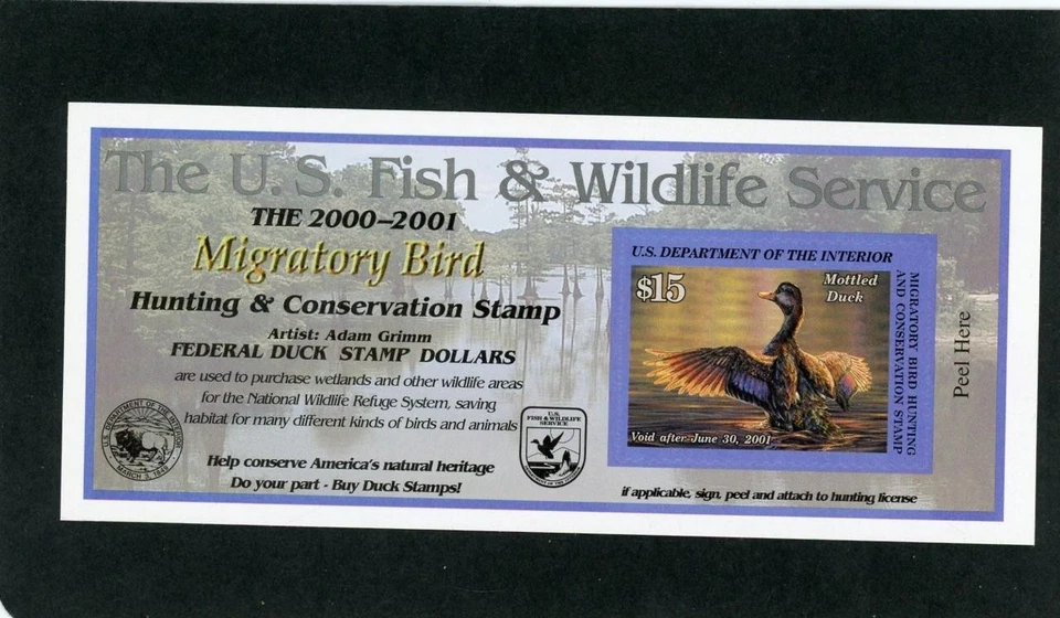 RW67A 2000 Federal Duck Fine MNH w/ Discount Coupon - Image 1 of 1