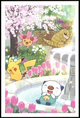 Pokemon Postcard Pikachu & Oshawott March 2026 Pokemon Center Japan Original - Image 1 of 2