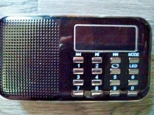 Mini Altavoz Digital Portátil AM FM Radio Antena Telescópica Auricular TF AUX USB - Imagen 1 de 3