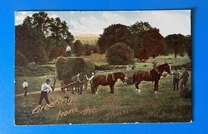 Shandelee Lake New York Greetings 1911 Vintage Postcard horse farm hay - Picture 1 of 2