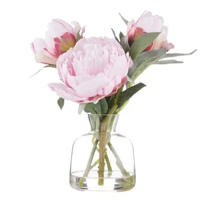 Rogue Peony Stem-Clear Glass Vase - Pink - Picture 1 of 3