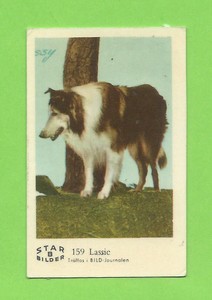 1962 Dutch Gum Card Star Bilder B #159 Lassie
