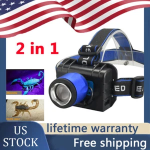 2 in1 Dual LEDs White Head Light Fishing Zoom Ultraviolet UV Blacklight Headlamp - Picture 1 of 9